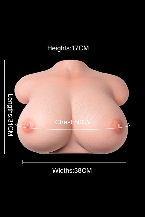 C03 Size