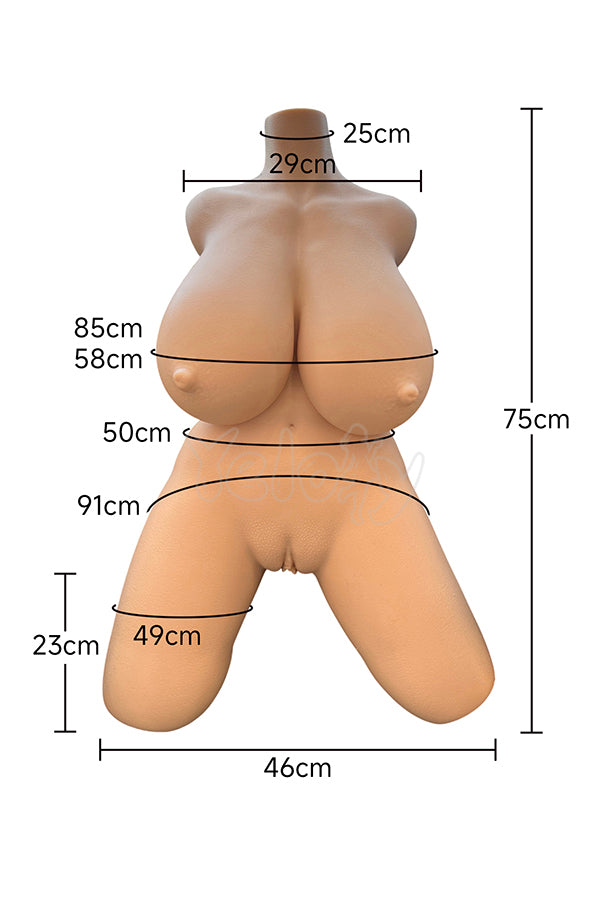 B12W Sex Doll Torso Size