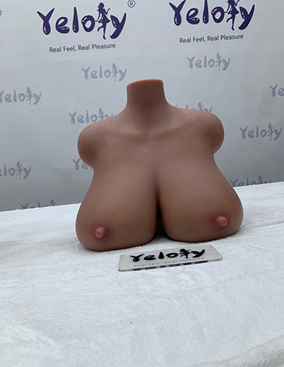 sex toy torsos