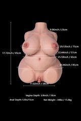 female torso doll size